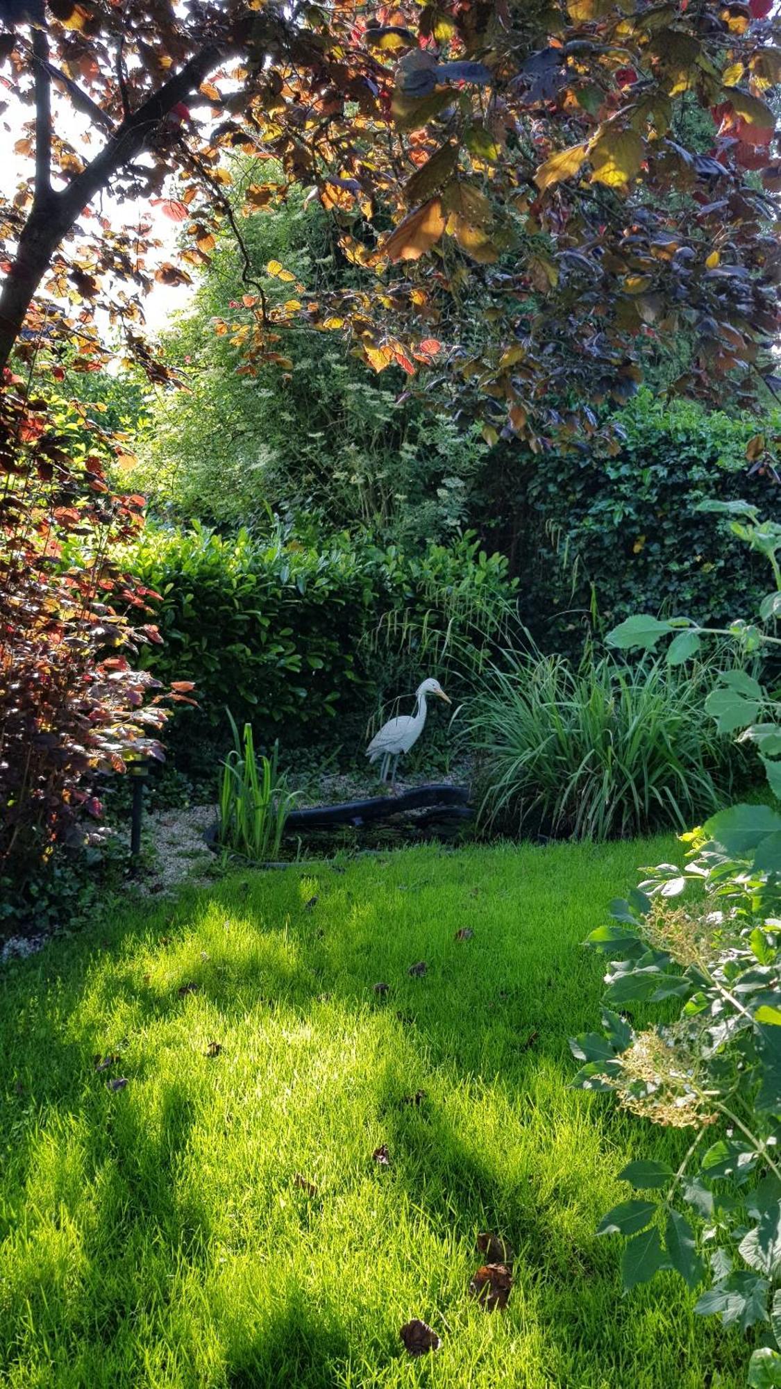 Haus Rosengarten Mit Sauna Bad Wünnenberg Zewnętrze zdjęcie
