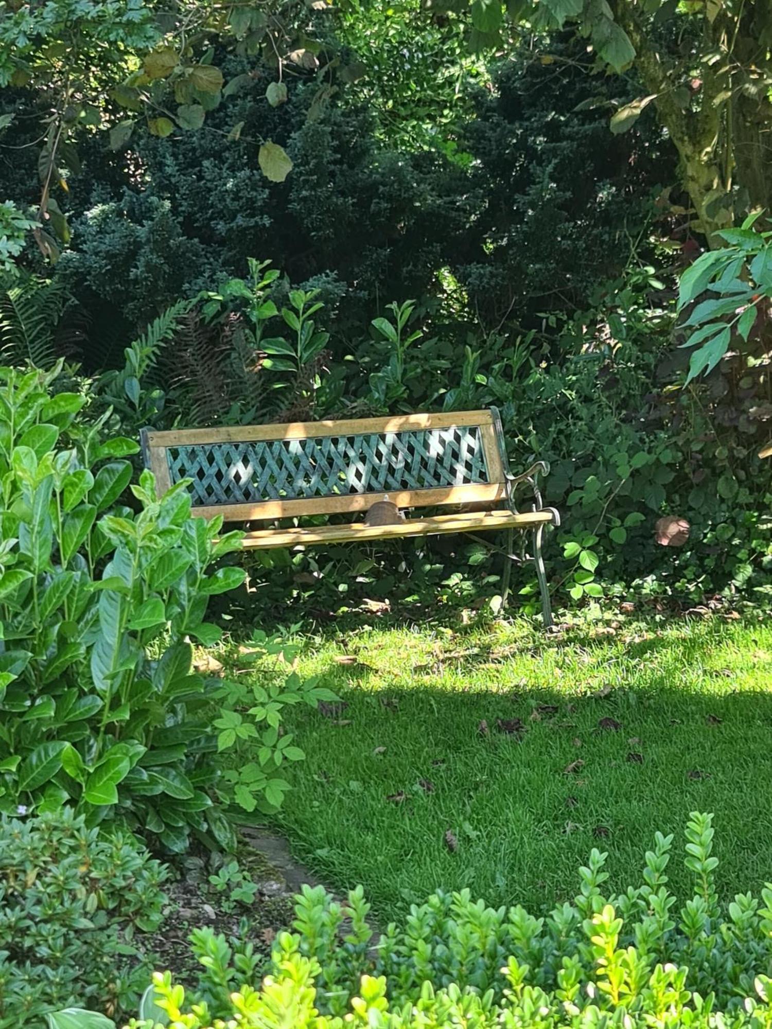 Haus Rosengarten Mit Sauna Bad Wünnenberg Zewnętrze zdjęcie